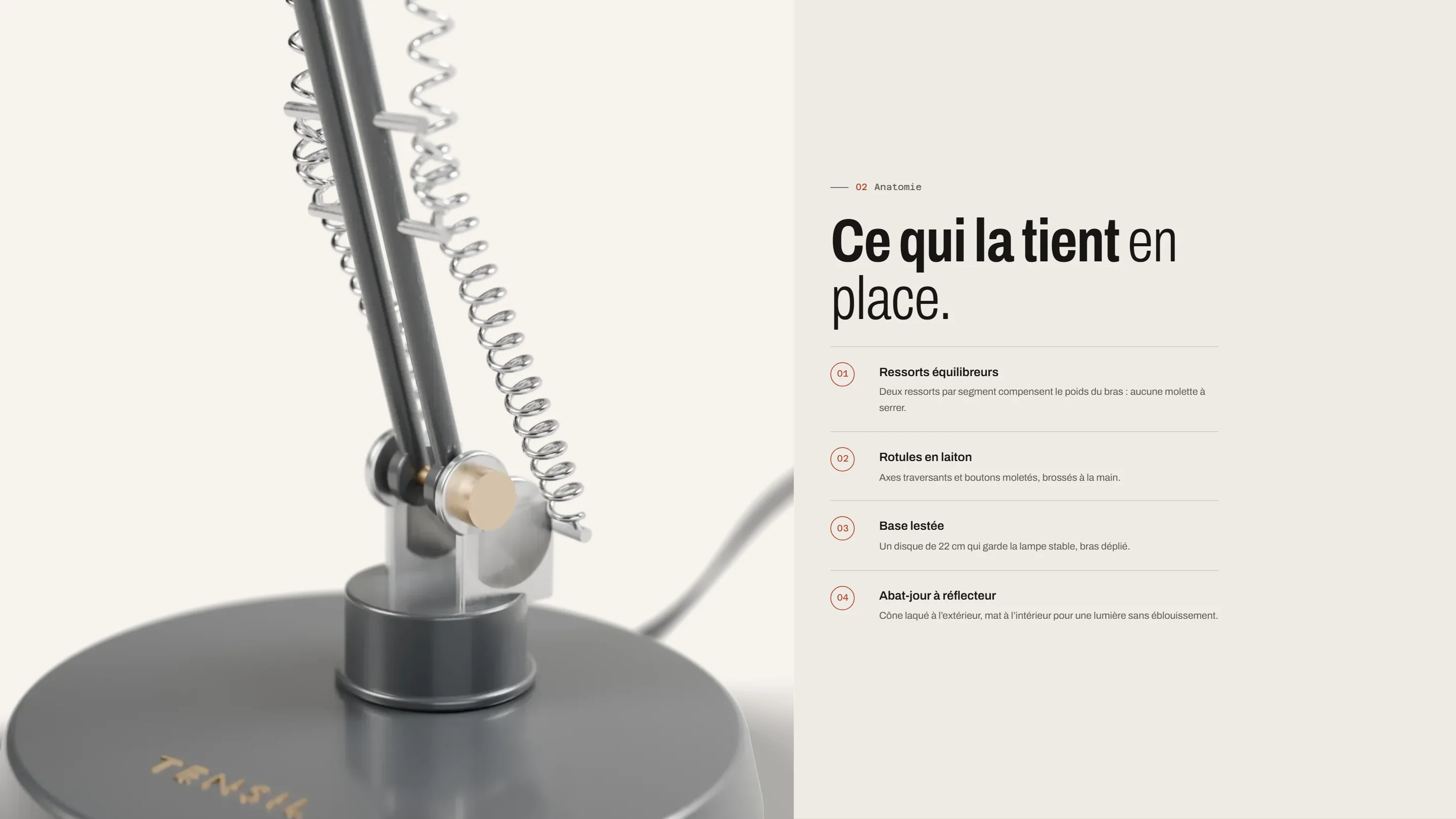 Section anatomie : gros plan sur la rotule et les ressorts